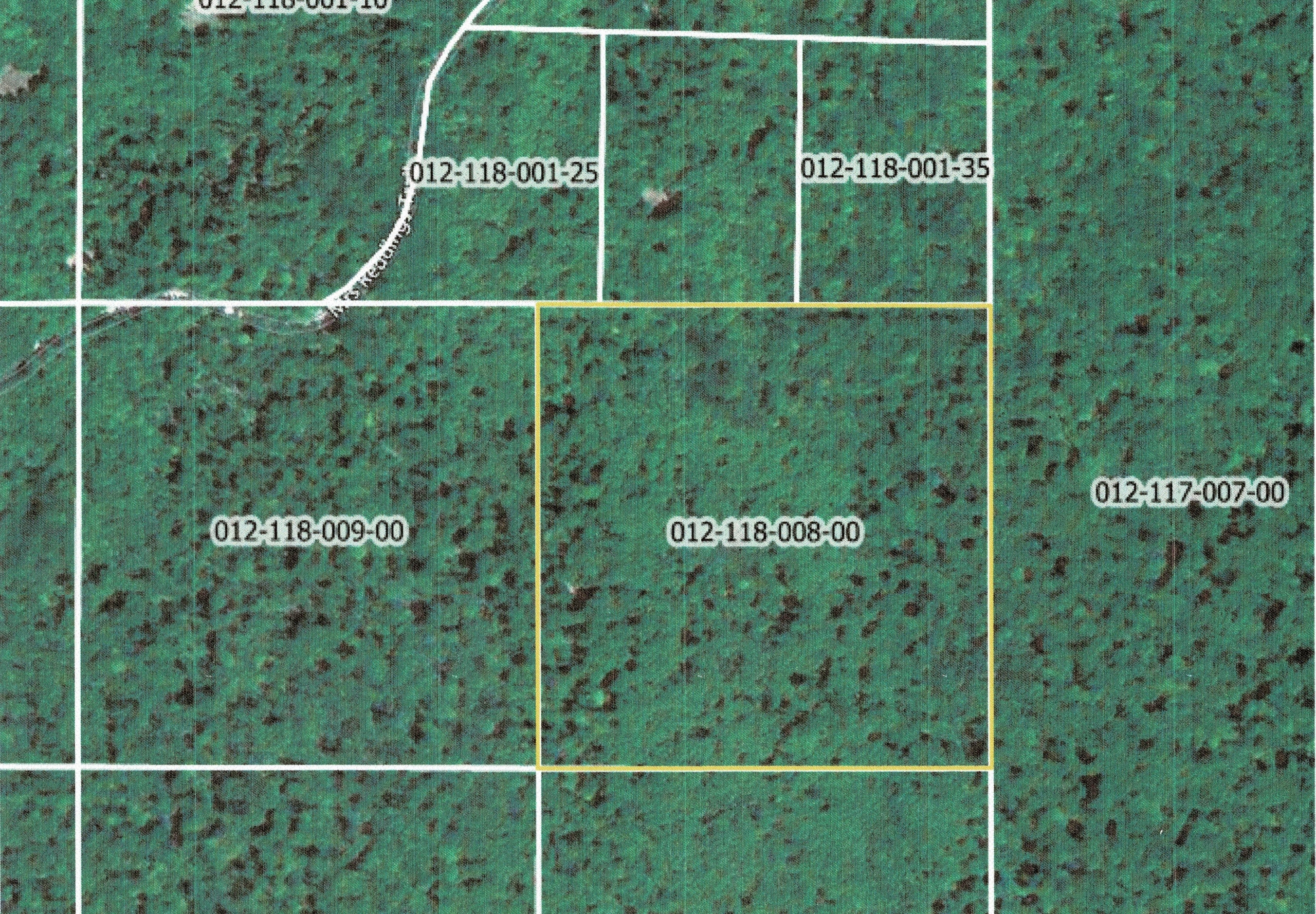 Anderson MLS Aerial Anderson – 40 Acres Sec 18 T38N R10W – Walter’s Road (Pvt)