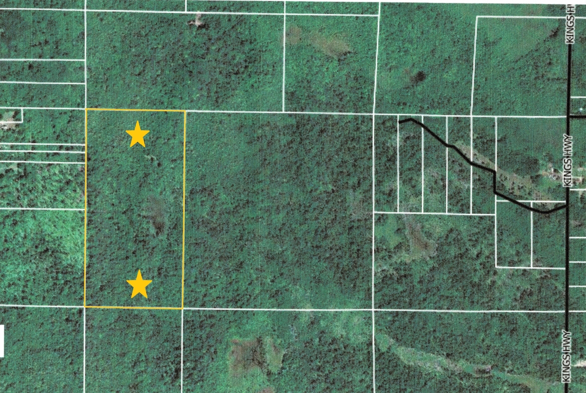 Fritz-Chupp – 80 Ac. Parcel – Fox Lake Rd.