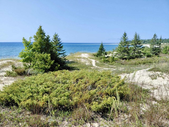 Beautiful Iron Ore Bay Lakefront Acreage Parcel
