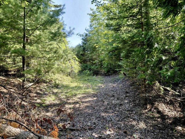 Beautiful Iron Ore Bay Lakefront Acreage Parcel
