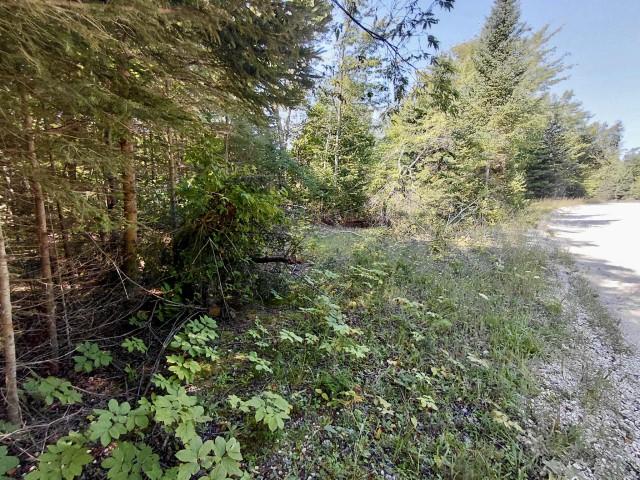 Beautiful Iron Ore Bay Lakefront Acreage Parcel