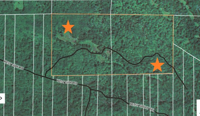 Softwood Camp Trail – 2- 40 Acre Parcels
