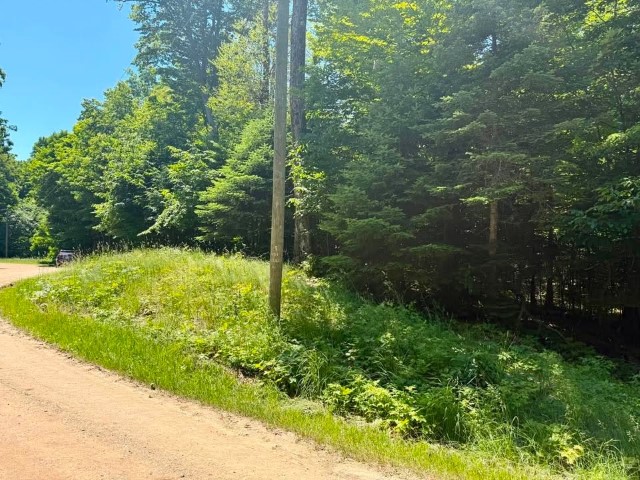 Wilderness Ct. – PSJ lots – 313, 314, and 315