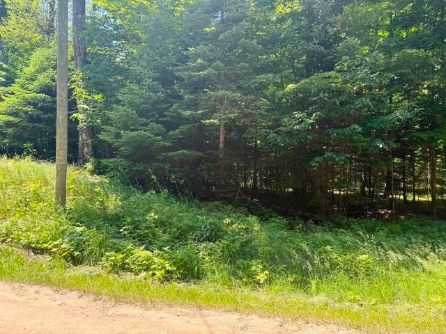 Wilderness Ct. – PSJ lots – 313, 314, and 315