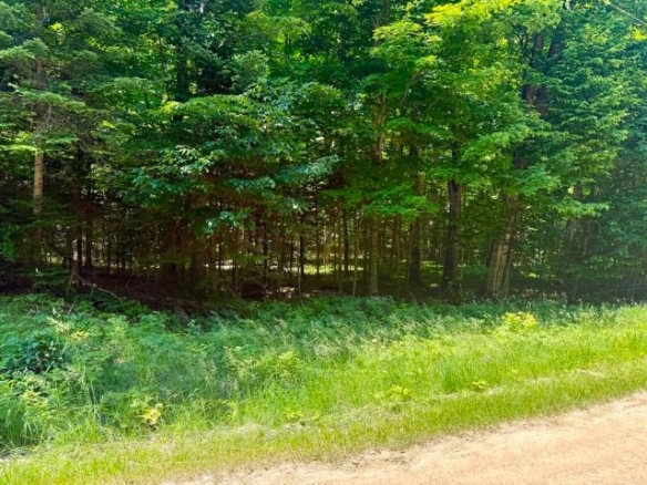 Wilderness Ct. – PSJ lots – 313, 314, and 315