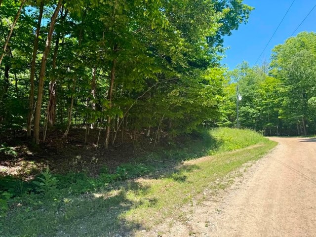 Wilderness Ct. – PSJ lots – 313, 314, and 315