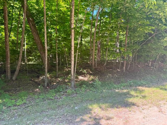 Wilderness Ct. – PSJ lots – 313, 314, and 315