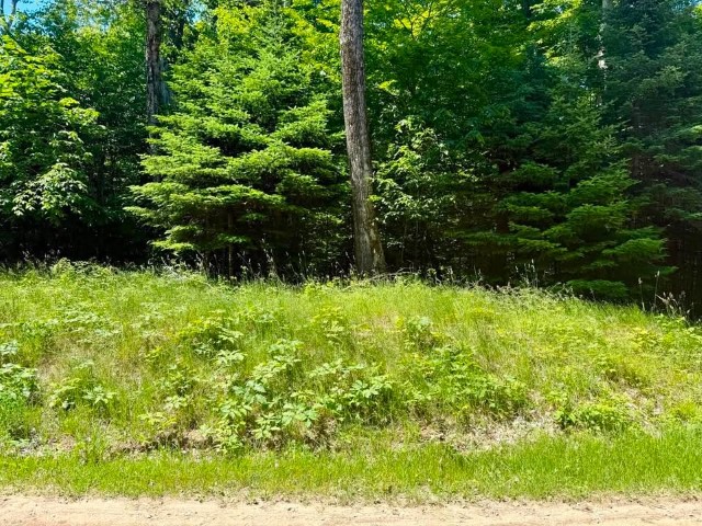 Wilderness Ct. – PSJ lots – 313, 314, and 315
