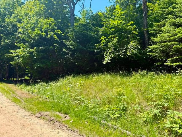 Wilderness Ct. – PSJ lots – 313, 314, and 315