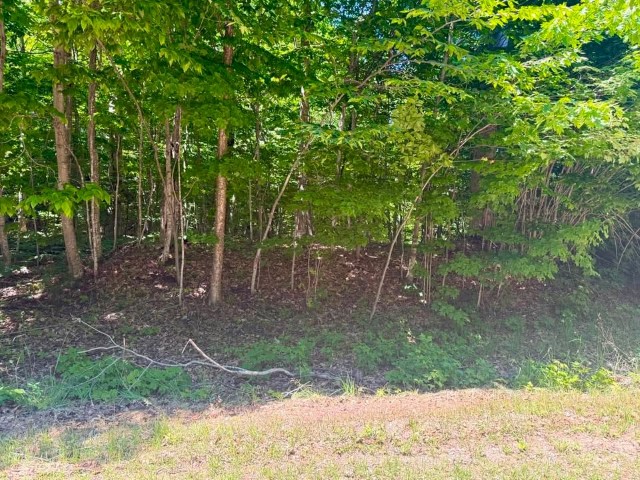 Wilderness Ct. – PSJ lots – 313, 314, and 315