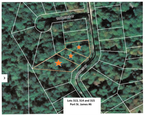 Wilderness Ct. – PSJ lots – 313, 314, and 315