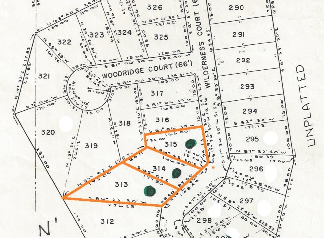 Wilderness Ct. – PSJ lots – 313, 314, and 315