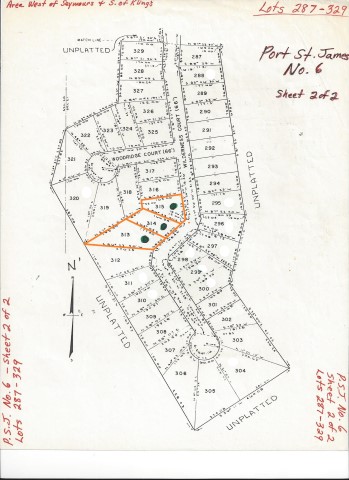 Wilderness Ct. – PSJ lots – 313, 314, and 315