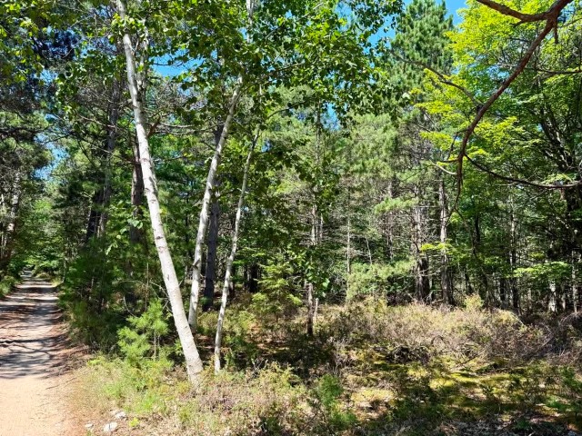 Acreage Piece on the North side of Hannon Road