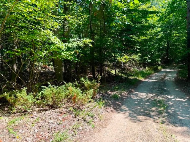 Acreage Piece on the North side of Hannon Road