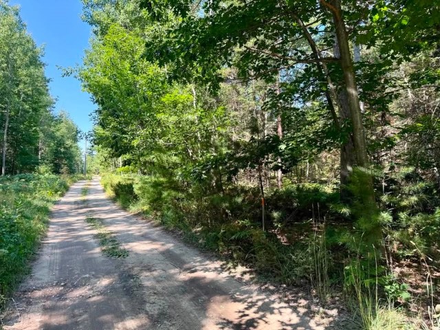 Acreage Piece on the North side of Hannon Road