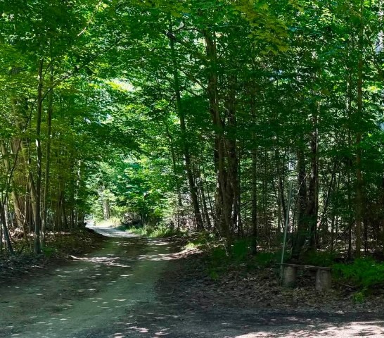 Acreage Piece on the North side of Hannon Road