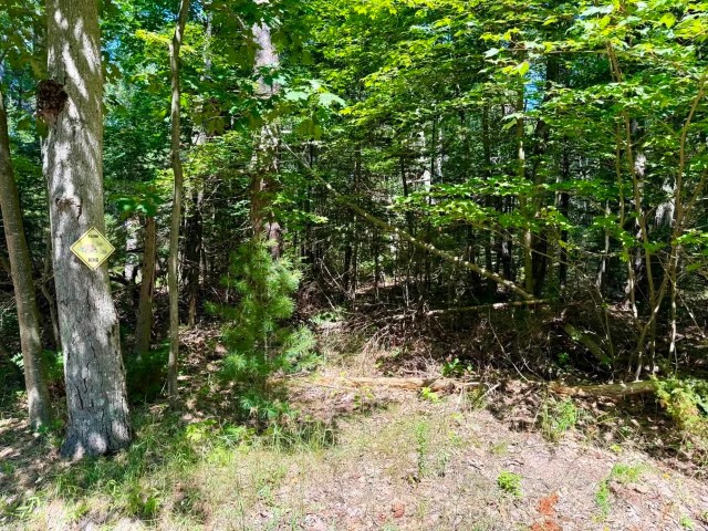 Acreage Piece on the North side of Hannon Road