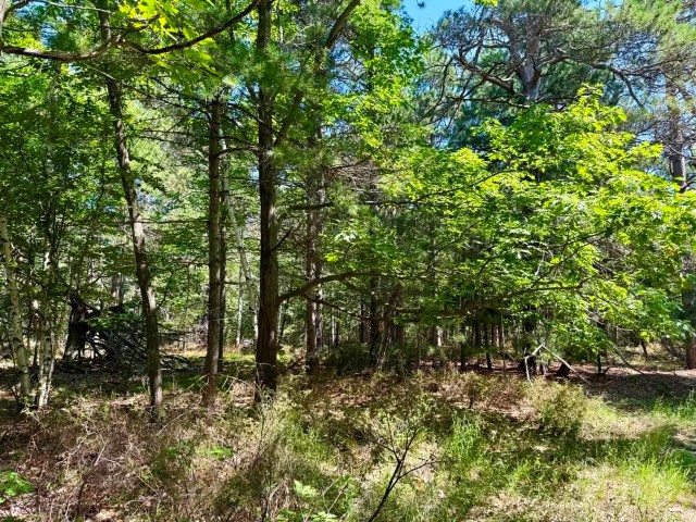 Acreage Piece on the North side of Hannon Road