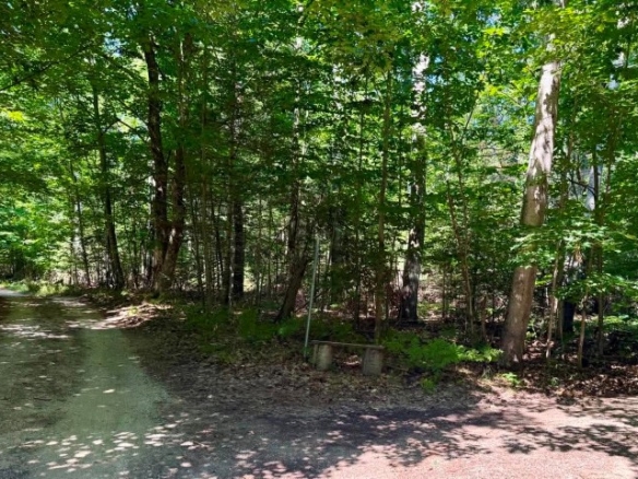 Acreage Piece on the North side of Hannon Road