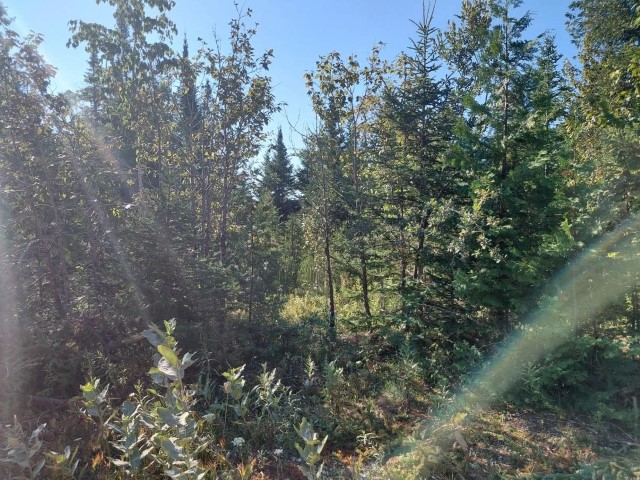 27758 South End Road Parcel 7A