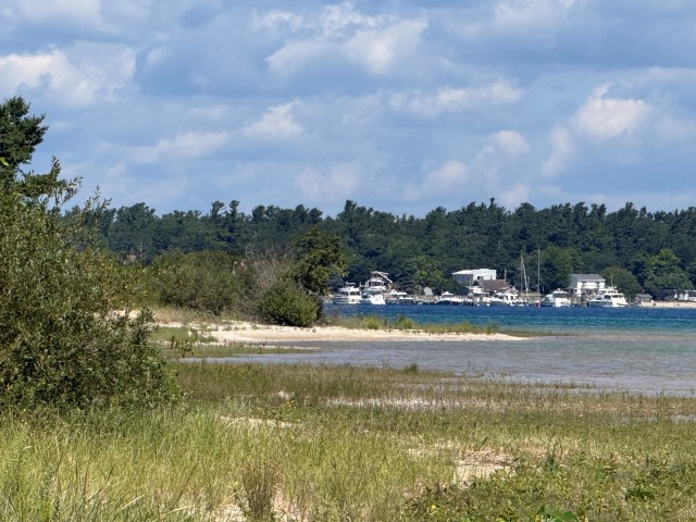Shoreline “Cabin” at  25813 Carlisle Road
