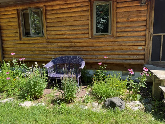 Shoreline “Cabin” at  25813 Carlisle Road