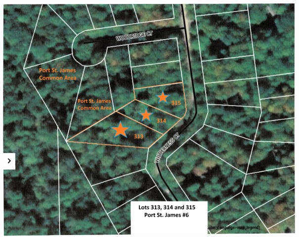 Wilderness Ct. – PSJ lots – 313, 314, and 315